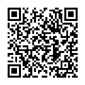 而且据说那罗浮玉帝和妖王的伤势还没有完全恢复二维码生成