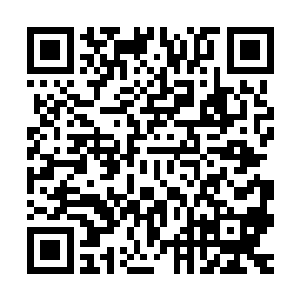 而且掌握了南明离火剑的周御龙无疑是保护樊瑶的最佳人选之一二维码生成