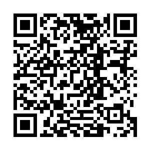 而且整个谈话过程中他不断地试探我们天从府的内部信息二维码生成