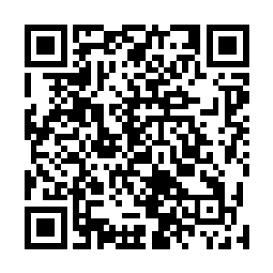 而且是那种无论拳打脚踢刀砍枪刺都无法唤醒的深度睡眠二维码生成