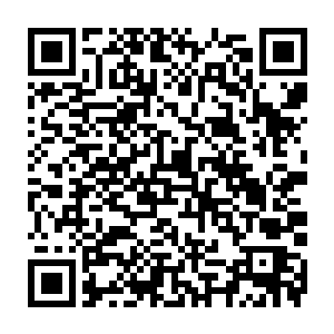 而且更重要的是这上清真人和掌门青木以及其他长老并不是宗门各脉的师兄弟二维码生成
