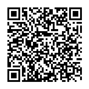 而且最令他感到有意思的是这果实正像是活物一样发出轻微的呼吸二维码生成