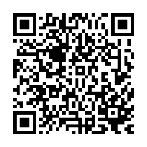 而且最重要的是许德拉的实力竟然已经达到了一种恐怖的程度二维码生成