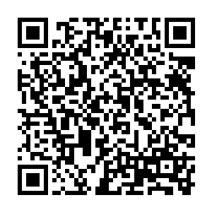 而且有这样的资源实现自己的诺言――日本有钱有资本参与人体基因组计划二维码生成