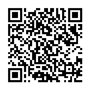 而且本尊这一次的目的就是为了要帮助你向白芷璃和东黎墨报仇二维码生成
