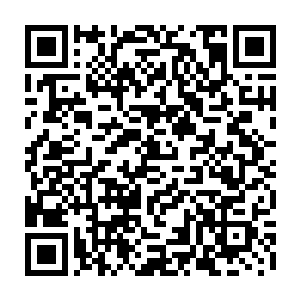 而且死亡的原因也是多半因为基因残缺而导致的血液问题而最终悲惨的死去二维码生成