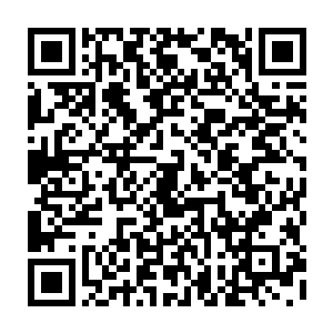 而且每一个场景都彷佛可以再次看到杰西和赛琳娜在其中缓缓行走的模样二维码生成