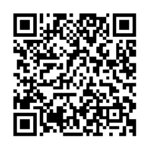 而且每一个都很强……阵型充分散开以后你们不可能挡得住的二维码生成