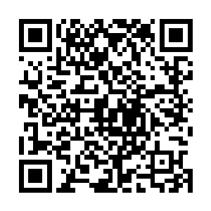 而且洒迭和师丝桐根本没有和他们说过冥仙谷内花株最珍贵二维码生成
