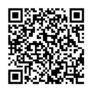 而且流墨墨他们三人的模样和仙力这些基本信息都被公布了出来二维码生成
