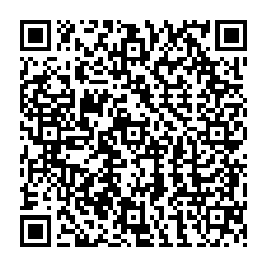 而且爱国者电脑公司还可以在如何把学校的科研成果转换成产品并进行销售方面给于学校帮助二维码生成