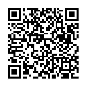而且现在北国前辈已经是第一个通过这种方式修炼的人了二维码生成