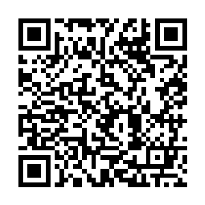 而且现在杨戬的玄黄不灭诀已经达到了第一层的极致二维码生成