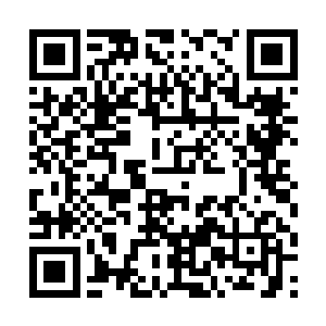 而且现在的夏天和当时的夏天也完全不是一个档次了二维码生成