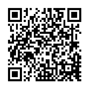 而且看到了自家船长自信满满的也都不拿这次损失当回事儿二维码生成