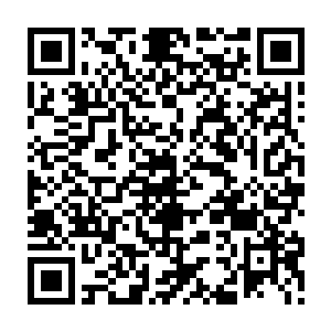 而且经过了这一次偷袭之后龙傲天也感觉到了这一次的对手实力绝对不简单二维码生成