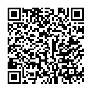 而且苏凡也不知道哈里森在草丛的时候用什么方法隐逸了自己的的气息二维码生成
