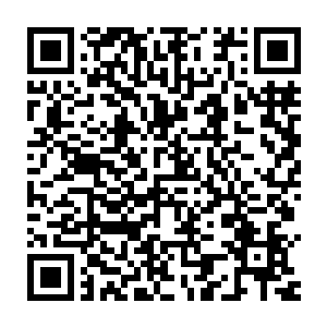 而且药田产出的药材炼制的丹药的品质比一般的丹药可是要强悍的多二维码生成