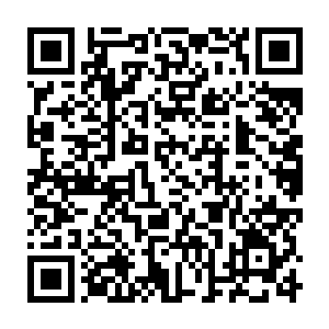 而且血里面还夹杂着一块一块的已经消融在他背上伤口中的红色的尖钻的碎片二维码生成