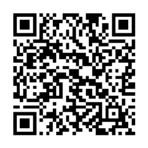 而且貌似除了飞行其他技能它现在貌似还没掌握什么二维码生成
