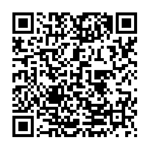 而且还全都向着一个方向飞过去――砰砰砰~~这样的落地声此起彼伏的二维码生成