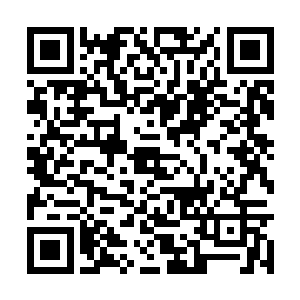 而且还把来组织的宇宙警官给打了……也是不怕死二维码生成