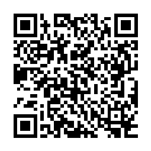 而且还是一名最厚实的土系基因战士这里的实力就算不是最强的二维码生成