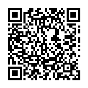 而且还更加大口的用了一口血……整张嘴都变得血淋淋的了二维码生成