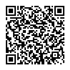 而且这一次他们机甲战队最开始接到的命令本来就是让他们活捉目标的二维码生成