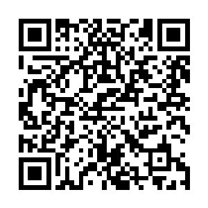 而且这一次白芷璃也成功的获得了这一次学院比赛得第一名二维码生成