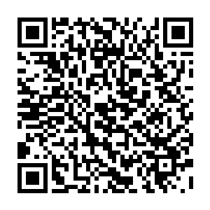 而且这两个区的固定资产投资在今年上半年仍然是保持着百分之五十以上的增速二维码生成