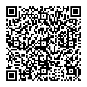 而且这些东西实际上不过是杨戬使用从黑水宗藏宝库之中得来的材料的三分之一的东西炼制的二维码生成