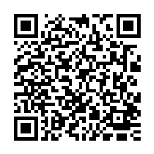 而且这次交流会得到的那一套十方印法器秦宇也还没打开看过呢二维码生成