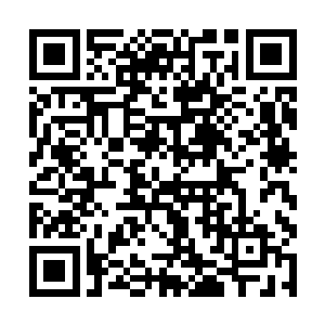 而且这种巨人族身上几乎也就没什么巨人族的血脉了二维码生成