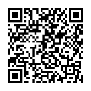 而且这还是小雷第一次参加比赛……如果加以系统的训练二维码生成