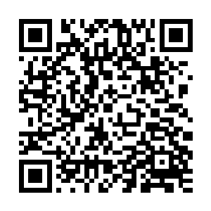 而且透过妖气林辰能够感觉到一丝只有修士才回存在的能量波动二维码生成