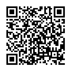 而且那无穷无尽的神火似乎真的成为了厚重的大地和满山的花草二维码生成