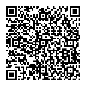 而且陆为民对今后几年城市化进程给土地价格带来的变化这一分析论断也得到了王自荣的认可二维码生成