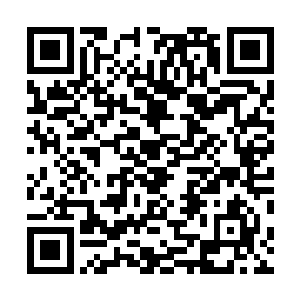 而且雪域迷城此时所在的位置也可以继续攻击两大势力了二维码生成