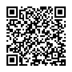 而且马叔他们一双双无神的目光直勾勾的看向结界之中战斗的我二维码生成