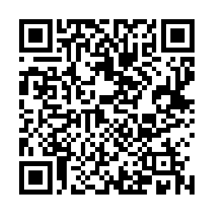 而中央那空旷的区域也刷刷的出现了一张硕大的圆桌和座椅二维码生成