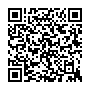 而之前北极狼牙使用的暗器就藏在他的左臂之中二维码生成