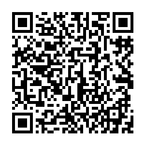 而之前怎么看林铭都不爽的小丫鬟也是不知道该用什么语言形容心中的震撼了二维码生成