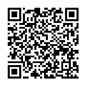而乡镇政fu也下发文件不允许村级组织为农户进行信用担保二维码生成
