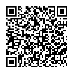 而云沧海也是不断的挥动着长鞭和白长青两人很快便是大战到了一起二维码生成