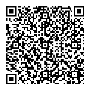 而五窍石人则不一样　远古时期曾有五窍石人出世　修无上大神通　短短一百年便攀升到了一个恐怖的境界　　合道　请百度一下二维码生成