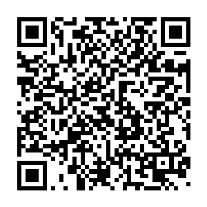 而人族当中一些实力达到圣皇大圆满境界的强者则是舍弃了圣帝怨灵二维码生成