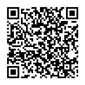 而人类修士以万象大阵组成的万丈巨人这个时候已经从九角宫殿另一边一步跨来二维码生成