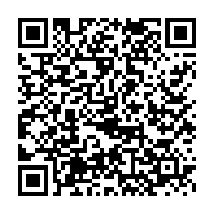 而仅仅为了获得几只能力稍微比魔鼠强大一点的老鼠就做这样的投资二维码生成