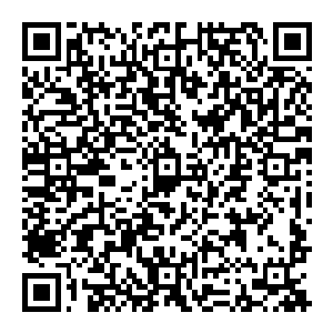 而从冀省拆卸下来拓达钢铁厂的包括高炉在内的各个炼钢和轧钢设备也分从海路和铁路两条不同路线开始南下向宋州二维码生成